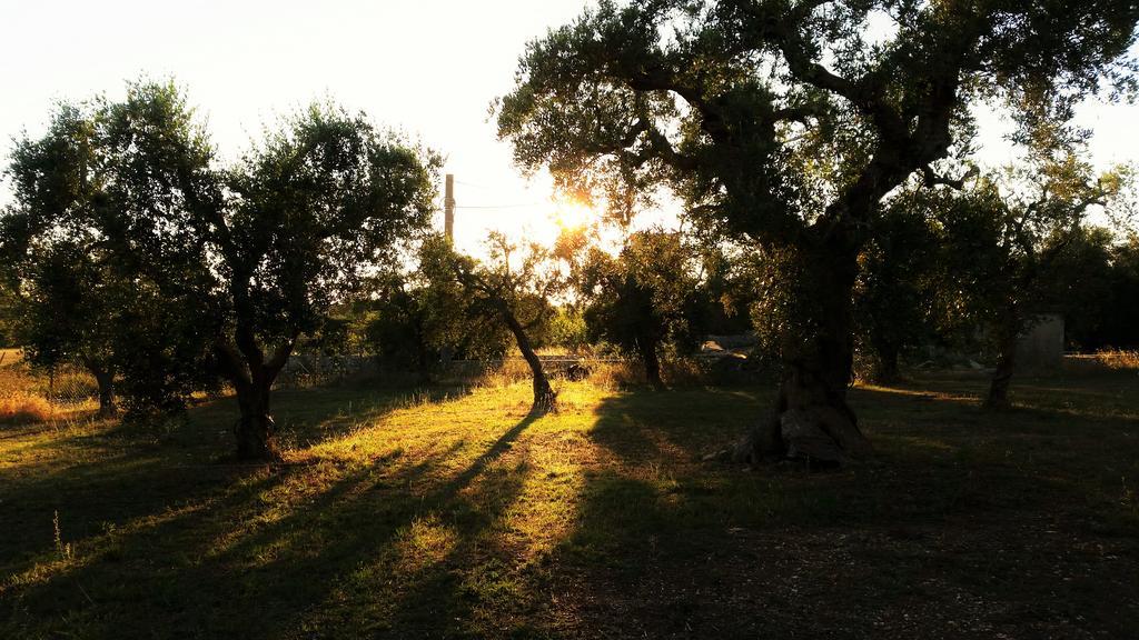 Antica Masseria Scagnito Villa Corigliano d'Otranto Luaran gambar